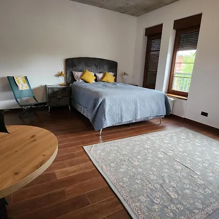 Balcescu Appartement Timişoara