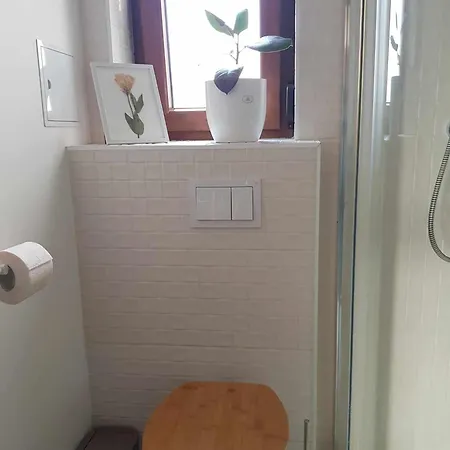 Balcescu Appartement Timişoara