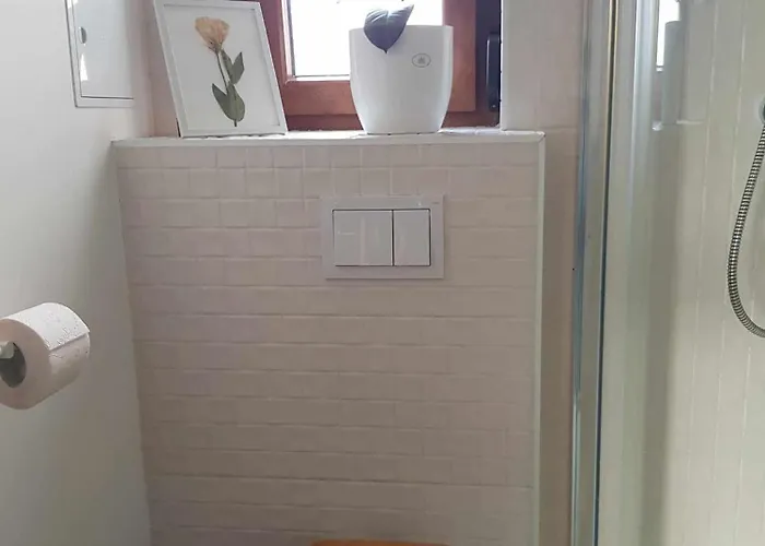 Balcescu Appartement Timişoara