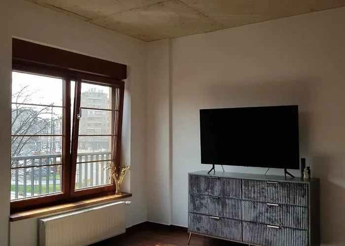 Balcescu Appartement Timişoara